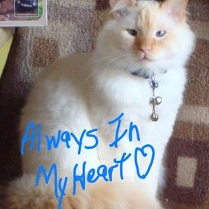 Meet your Posher, Tini